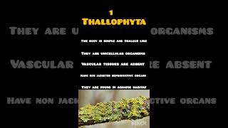 Difference between Thallophyta and Bryophyta class 9th shorts class9 subscribe like share [upl. by Kiona658]