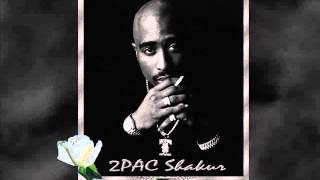 2Pac  Troublesome 96 Instrumental [upl. by Ranie]