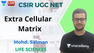 Extra Cellular Matrix ECM  Unacadmey Live CSIR UGC NET [upl. by Trauts94]