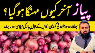 Onions become Expensive🔥🔥 In Islamabad  Whoalsale Prices  Kabul Sindh and Tajikistan onions [upl. by Gayle]