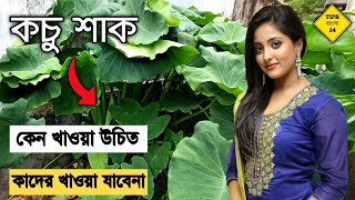 কচুশাকের এত রকম উপকারিতা  kochu shaker upokarita  কচুশাকের উপকারিতা  Tips Bangla 24 [upl. by Lesirg]