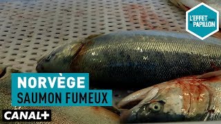 Norvège  Saumon fumeux  L’Effet Papillon [upl. by Notsirk741]