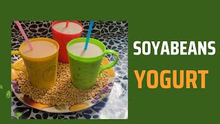 Soyabeans yogurt Nutricia soy milk soy yogurt Easiest soybeans yogurt recipe [upl. by Ahsilef]