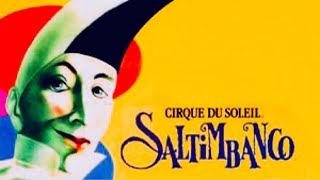 Saltimbanco  Shame on Cirque [upl. by Teillo]