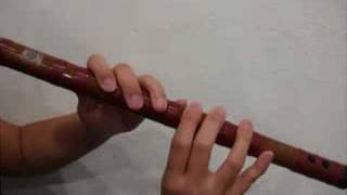 Basic introduction of the Dizi Chinese Bamboo Flute [upl. by Bendix]