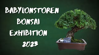 Babylonstoren Bonsai Exhibition 2023 [upl. by Vidovik928]