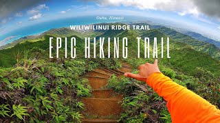 Epic Hiking Trail in Oahu Hawaii│Wiliwilinui Ridge FULL GUIDE Best Trail [upl. by Renie]