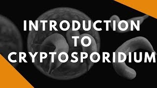 Introduction to Cryptosporidium [upl. by Dela]