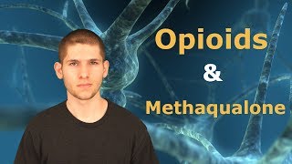 What Quaalude Tells Us About The quotOpioid Epidemicquot [upl. by Adnorhs]