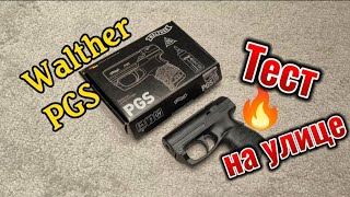 Тесты Walther PGS [upl. by Suiremed775]