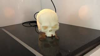 Arduino 3D printed Led skull [upl. by Allimrac]