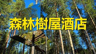 原來瑞典人比芬蘭人更內向，瑞典森林樹屋酒店，更注重保護私人空間，Treehotel，Sweden，Swedes are more introverted than Finns [upl. by Alister]