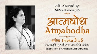 Adi Shankaracharyas Atmabodha  Shloka 3 to 5  Anandmurti Gurumaa Hindi [upl. by Oizirbaf]