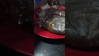 Isda paksiw nakabalot sa tanglad shorts food isda [upl. by Vidda]