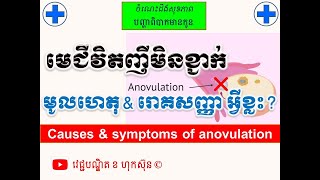 មេជីវិតញីមិនខ្ជាក់ មូលហេតុ amp រោគសញ្ញា អ្វីខ្លះ l Causes amp symptoms of anovulation l វេជ្ជ ខ ហុកស៑ុន [upl. by Nevah647]