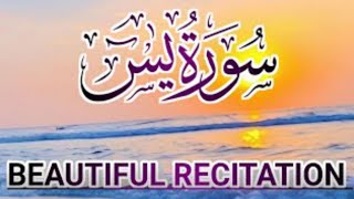 Surah Yasin I Tilawat e Quran I Heart of QuranI Soul touching recitation Aalamdastagirtv [upl. by Iloj]