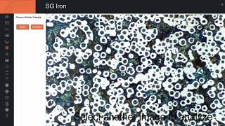 Pace Technologies Image Analysis  SG Iron [upl. by Natye]