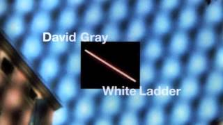 David Gray  Were Not Right Official Audio [upl. by Peggi]