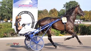 Der Tag 4  123 Deutsches TraberDerby  BerlinMariendorf [upl. by Cate]