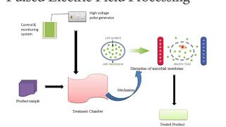 New Trends in Food Science and Nutrition video by Dr P R Chaudhary [upl. by Htebzile362]