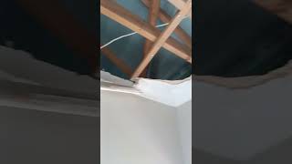 roof ceiling renovation property diy shorts new highlights like johannesburg pretoria [upl. by Enael]