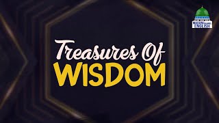 Treasures of Wisdom Ep102  Topic Love for Ahl e Bayt رَضِىَ اللّٰەُ عَنْهُم [upl. by Pinette]