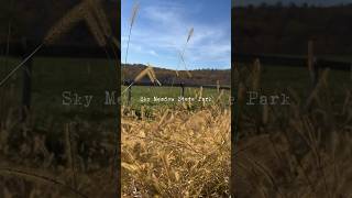 Sky Meadows State Park shorts hiking travel fall hiking [upl. by Attikin31]