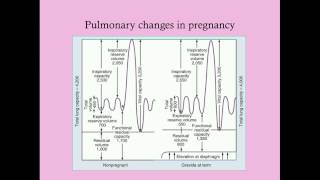 Basic Physiology of Pregnancy  CRASH Medical Review Series [upl. by Eicam]