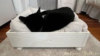 Upcycling A Wooden Gift Box Into A Pet Bed [upl. by Annayd]