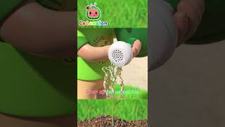 Gardening Song Shorts  CoComelon Nursery Rhymes and Kids Songs [upl. by Noied758]