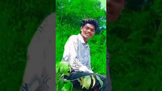 city college wali 😇😇sambalpurisong status viralshorts video surendra 😇😇 [upl. by Branch]