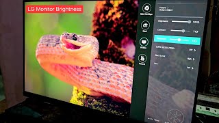 LG 24 inch Monitor Screen Adjustments Review  How to change Brightness  IPS FHD Monitor [upl. by Htnnek]