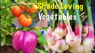 Top 10 Shade Loving Vegetables  Vegetables To Grow In Shady Area [upl. by Bonilla]