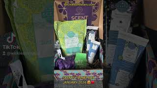 SCENTSY WHIFF BOX JANUARY 2024 ❤️ [upl. by Dekeles769]