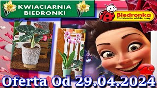 𝐁𝐈𝐄𝐃𝐑𝐎𝐍𝐊𝐀🐞Kwiaciarnia Biedronki Nowa Oferta Od 29042024 Kwiatowe Inspiracje Biedronki Tanie Kwiaty [upl. by Oirretno192]