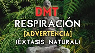 ÉXTASIS NATURAL Respiración Alcalina DMT  3 Rondas Edición Bosque [upl. by Ariajay]