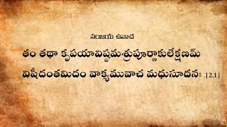 Bhagavad Gita Chanting Chapter2 With Text in Teluguభగవద్గీత పారాయణం తెలుగులొ [upl. by Dow]