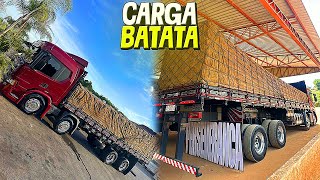 CARREGAMENTO DA BATATA NO INTERIOR QUE CARGA TOP QUE FICOU ESSA  😍 [upl. by Nadroj187]