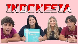 Tasting Snacks from Indonesia Part try2 Treats Subcription Box [upl. by Emyam]