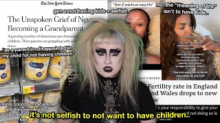 gen z doesn’t want to have kids amp it’s scaring everybody [upl. by Tnecniv420]