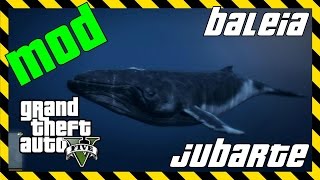 Como virar a baleia Jubarte no GTA 5 [upl. by Rasla]