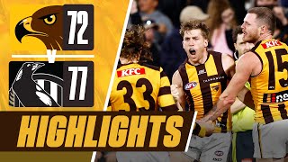 Hawthorn v Collingwood  Match Highlights  Round 4 2024 [upl. by Congdon]