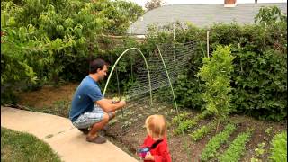 Easy and Simple Cucumber Trellis for Vertical Growing by the California Gardener [upl. by Htirehc307]