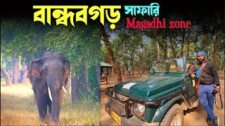 Bandhavgarh jungle Safari at magadhi zone  Bandhavgarh jungle safari experience Best time to visit [upl. by Ayamahs582]