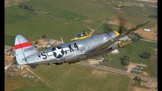 Dottie Mae P47 AirtoAir on First Public Flight  26 Aug 2017 at Warbird Roundup [upl. by Demah]