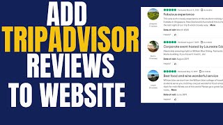 How to Embed Tripadvisor Reviews Widget on Webflow [upl. by Amikan]