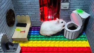 Hamster Maze Challenge with traps hamsterescape hamstermazewithtraps [upl. by Oht285]