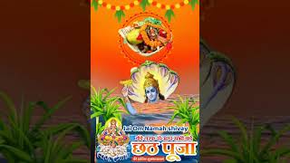 Chhath parva ke Geet MyhopeyoungindiastrengthshortsChhat hindi song purity of maha parva [upl. by Aramac]