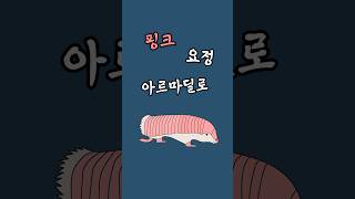 포유류  56 핑크 요정 아르마딜로 Pink fairy armadillo [upl. by Phelgon362]