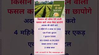 किसान भाइयों अदरक की खेती करो 4 महीने में 3 लाख बिजनेस 🫚 Best business idea 4 Farmers shorts [upl. by Modnar58]